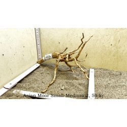 Asian Moor Rod Small-Medium (WYSIWYG)