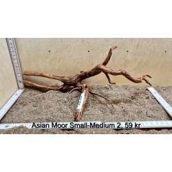 Asian Moor Rod Small-Medium (WYSIWYG)