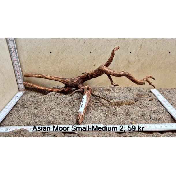 Asian Moor Rod Small-Medium (WYSIWYG)
