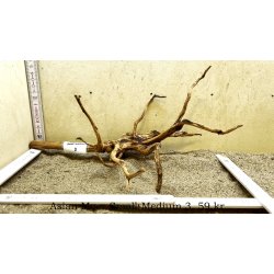 Asian Moor Rod Small-Medium (WYSIWYG)