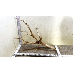 Asian Moor Rod Small-Medium (WYSIWYG)