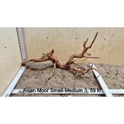 Asian Moor Rod Small-Medium (WYSIWYG)