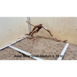 Asian Moor Rod Small-Medium (WYSIWYG)