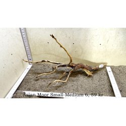 Asian Moor Rod Small-Medium (WYSIWYG)