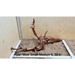 Asian Moor Rod Small-Medium (WYSIWYG)