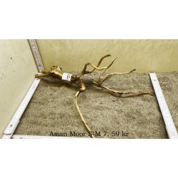 Asian Moor Rod Small-Medium (WYSIWYG)