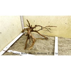 Asian Moor Rod Small-Medium (WYSIWYG)