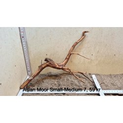 Asian Moor Rod Small-Medium (WYSIWYG)