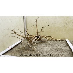 Asian Moor Rod Small-Medium (WYSIWYG)