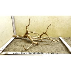 Asian Moor Rod Small-Medium (WYSIWYG)