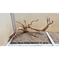 Asian Moor Rod Small-Medium (WYSIWYG)