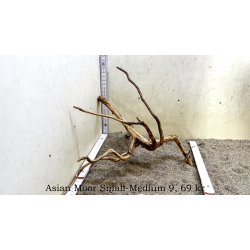Asian Moor Rod Small-Medium (WYSIWYG)