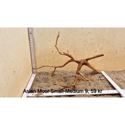 Asian Moor Rod Small-Medium (WYSIWYG)