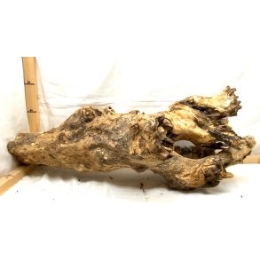 Asian Mopani Rod XXLarge (WYSIWYG)