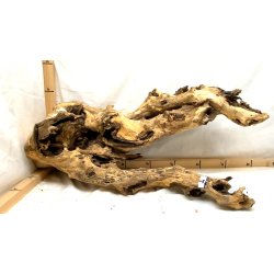 Asian Mopani Rod XXLarge (WYSIWYG)