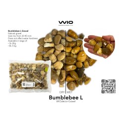 Bumblebee Grus &amp; Sten