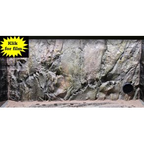 Fusion 576 L med RockZolid Borneo baggrund