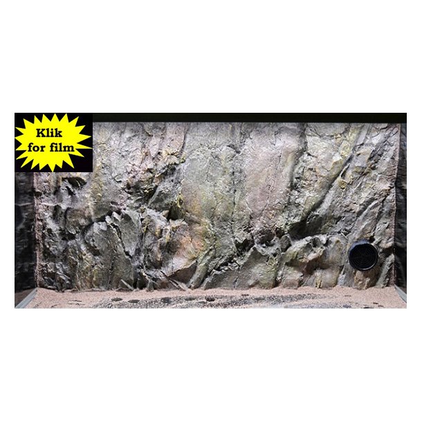 Fusion 576 L med RockZolid Borneo baggrund