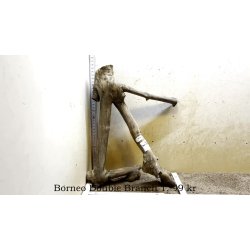 Borneo Double Branch Small-Large (WYSIWYG)