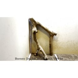 Borneo Double Branch Small-Large (WYSIWYG)