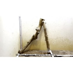 Borneo Double Branch Small-Large (WYSIWYG)