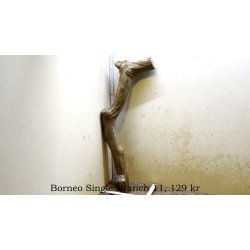 Borneo Single Branch Small-Large (WYSIWYG)
