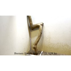 Borneo Single Branch Small-Large (WYSIWYG)