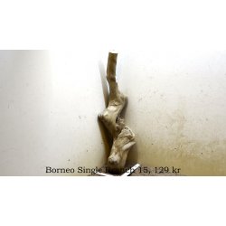 Borneo Single Branch Small-Large (WYSIWYG)