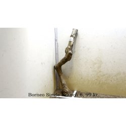 Borneo Single Branch Small-Large (WYSIWYG)