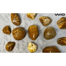 Bumblebee Grus &amp; Sten