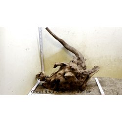 Coral Root Rod Large-XLarge (WYSIWYG)
