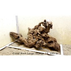 Coral Root Rod Large-XLarge (WYSIWYG)