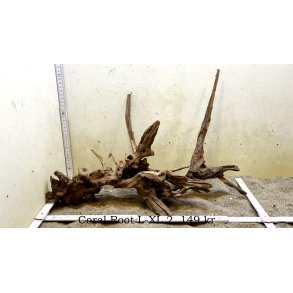 Coral Root Rod Large-XLarge (WYSIWYG)