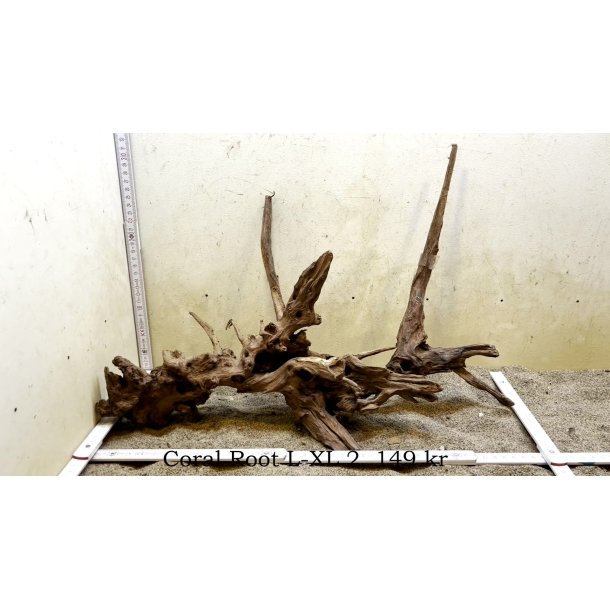 Coral Root Rod Large-XLarge (WYSIWYG)