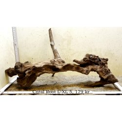 Coral Root Rod Large-XLarge (WYSIWYG)