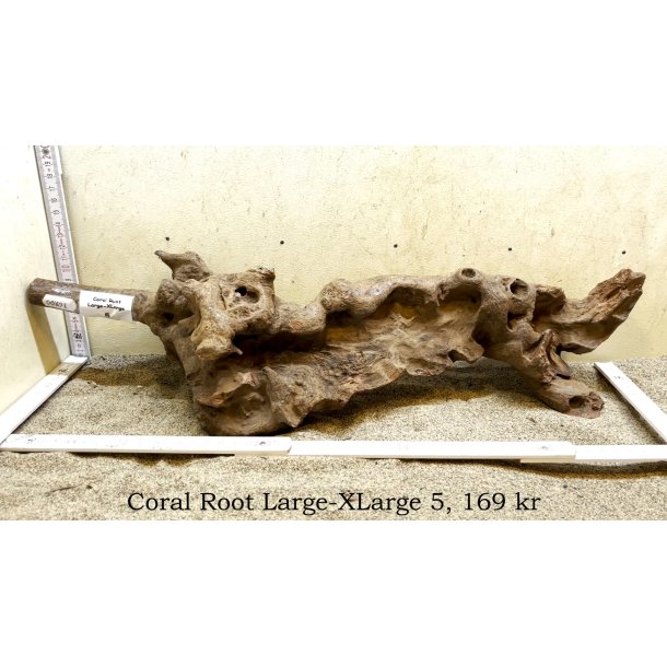 Coral Root Rod Large-XLarge (WYSIWYG)