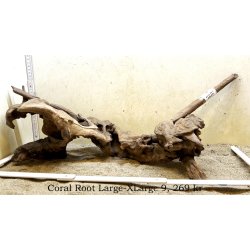 Coral Root Rod Large-XLarge (WYSIWYG)