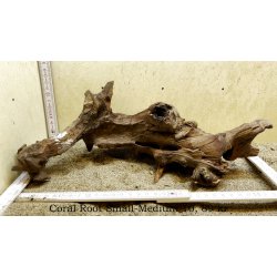 Coral Root Rod Small-Medium (WYSIWYG)