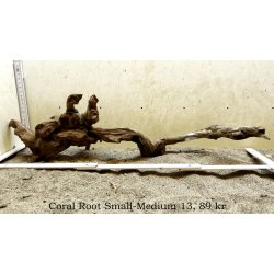 Coral Root Rod Small-Medium (WYSIWYG)