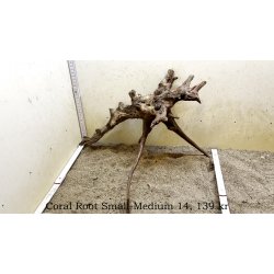 Coral Root Rod Small-Medium (WYSIWYG)