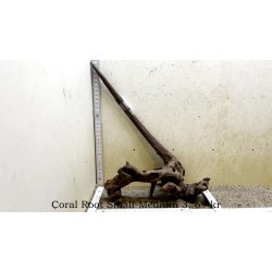 Coral Root Rod Small-Medium (WYSIWYG)