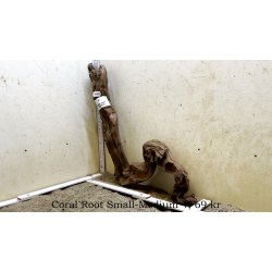 Coral Root Rod Small-Medium (WYSIWYG)