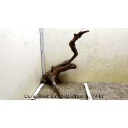 Coral Root Rod Small-Medium (WYSIWYG)