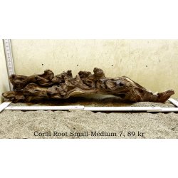Coral Root Rod Small-Medium (WYSIWYG)