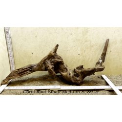 Coral Root Rod Small-Medium (WYSIWYG)