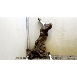 Coral Root Rod Small-Medium (WYSIWYG)