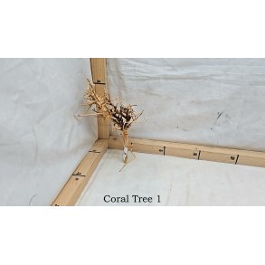 Coral Tree (WYSIWYG)