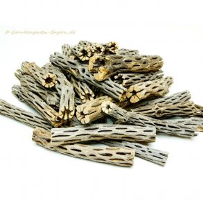 Vuka/Cholla tr (natur), 1 stk