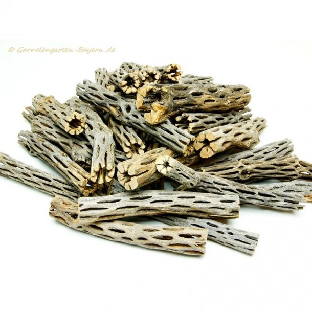 Vuka/Cholla tr (natur), 1 stk