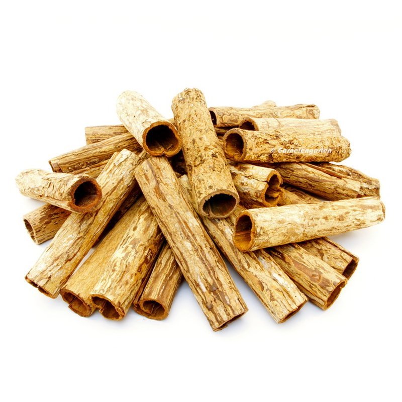 Catappa/Ketapang rør XL, 1 stk - Bælge og Bark - Unimati ApS